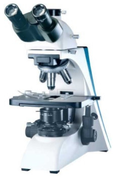 Lab Microscope (All Types)